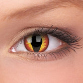 Crazy One-Day Dragon Eyes